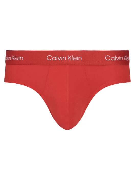 Slip 3-pack natalizi Uomo NB4563 Calvin Klein
