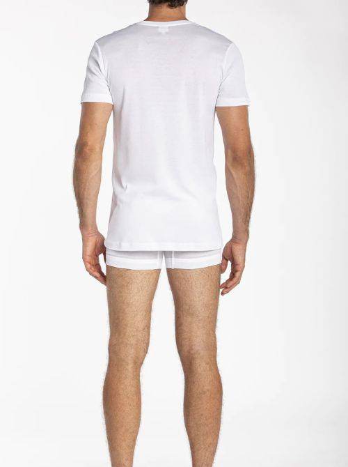 T-shirt Uomo ILEXI Julipet - evabiancheria